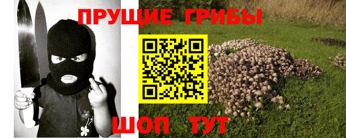 Галлюциногенные грибы GOLDEN TEACHER  Вход с VPN  Луховицы 